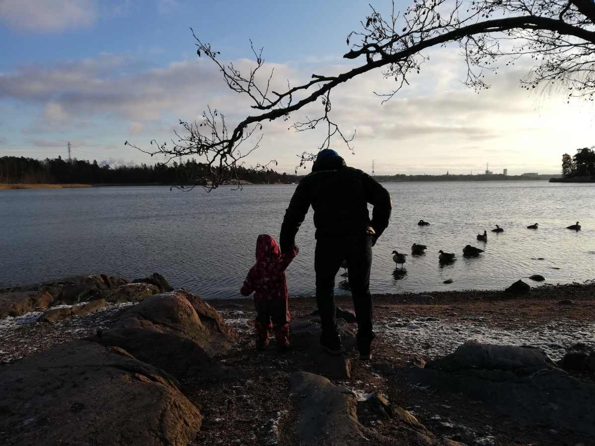 DER FINNISCHE nATUR