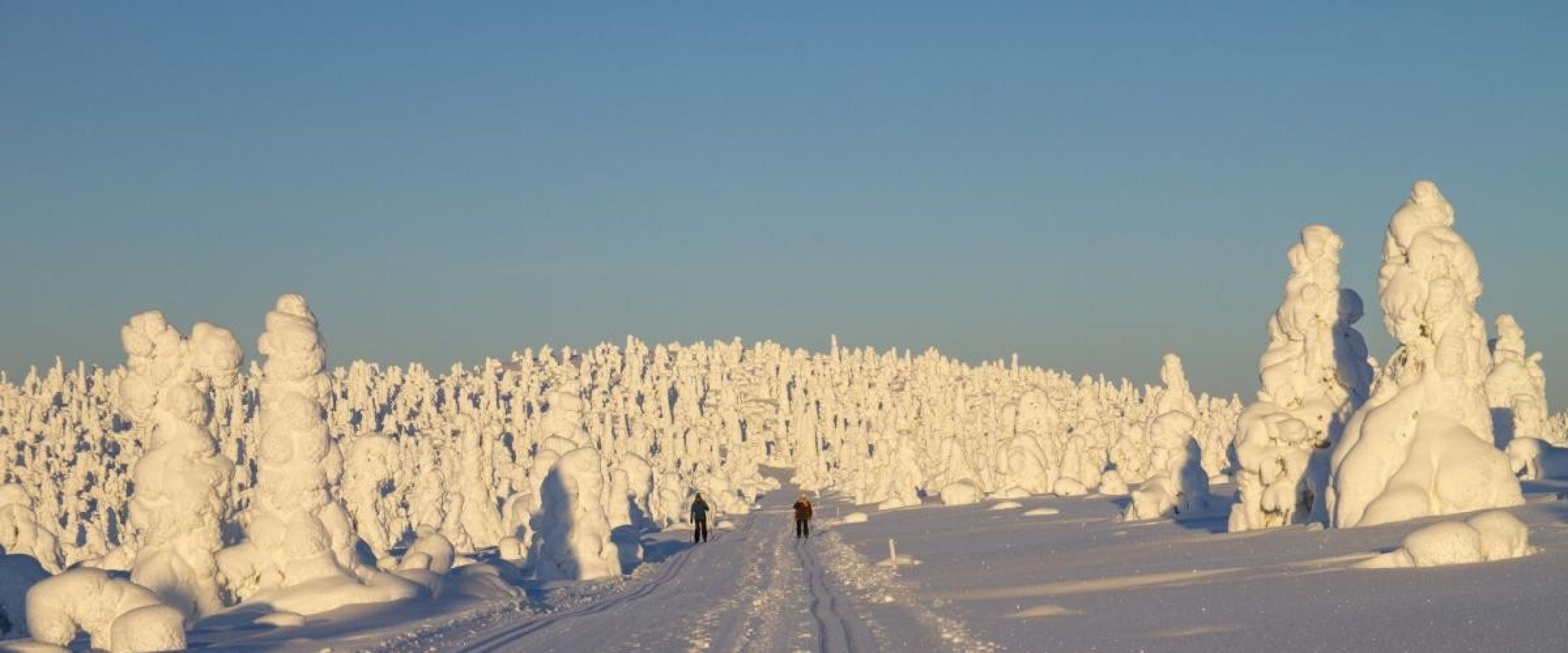 Die Natur in Finnland trägt zum Glück bei