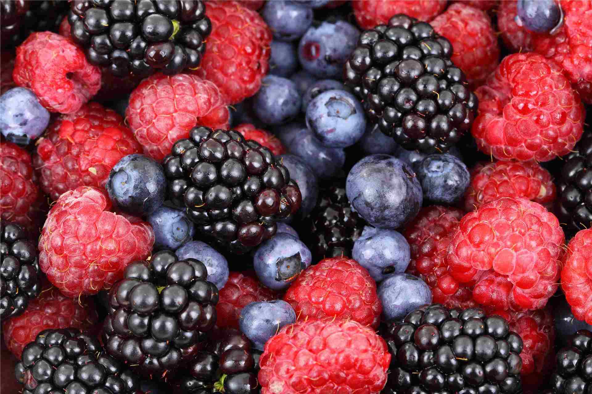 Beeren aus den Wald für mehr Kraft und Ausdauer
